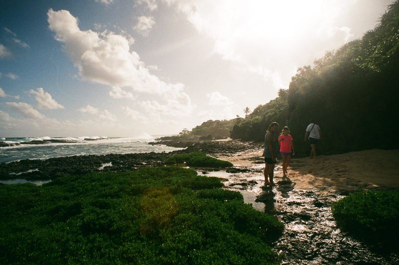 Fujicolor 100