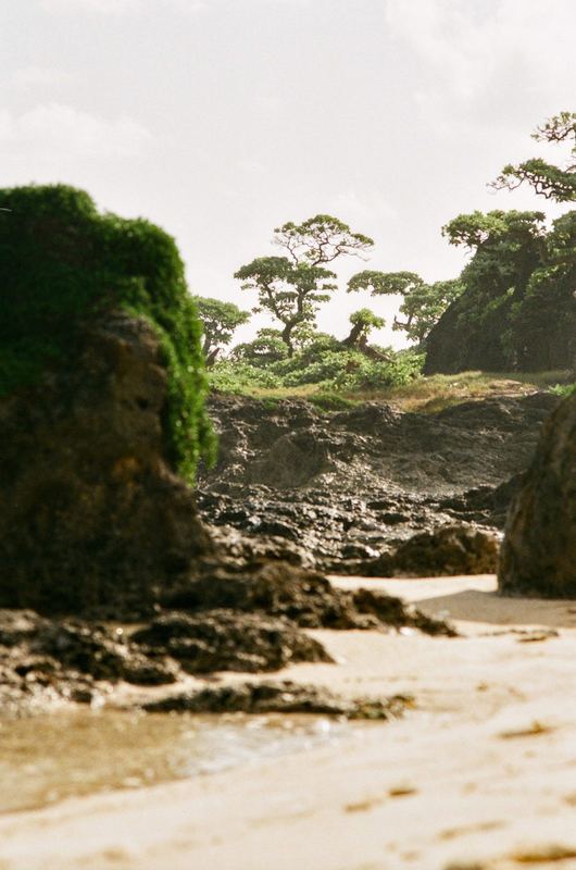 Fujicolor 100