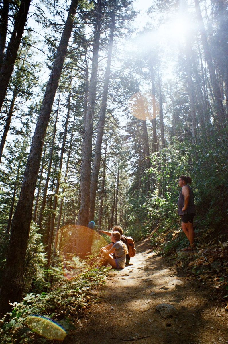 Kodak Gold 200