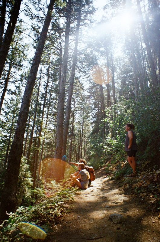 Kodak Gold 200