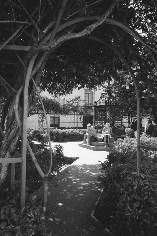 Ilford HP5 Plus