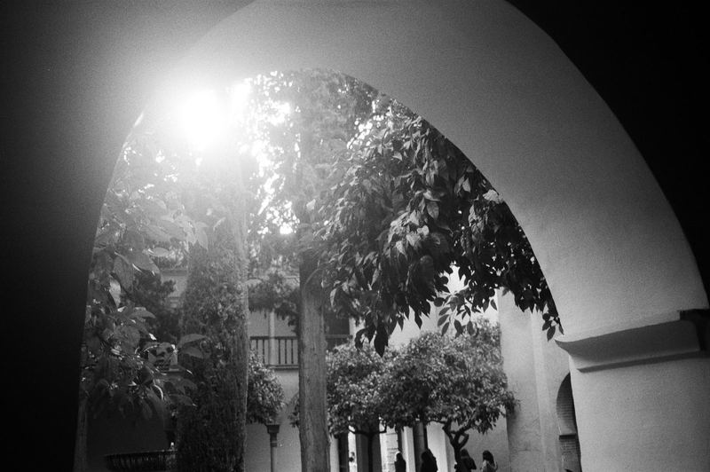 Kentmere Pan 400