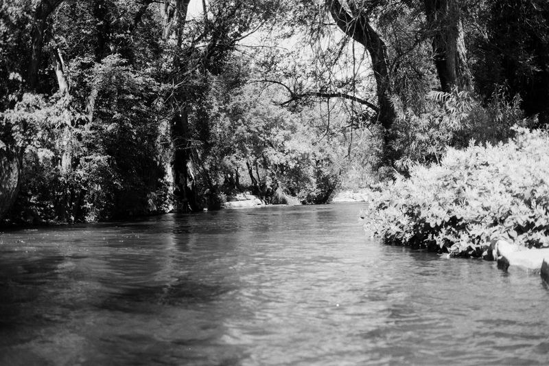 Kentmere 100