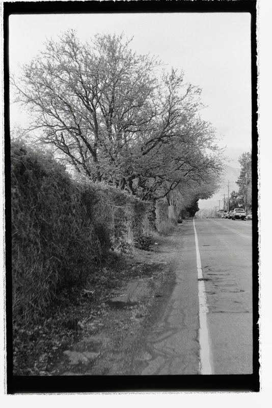 Kentmere 200