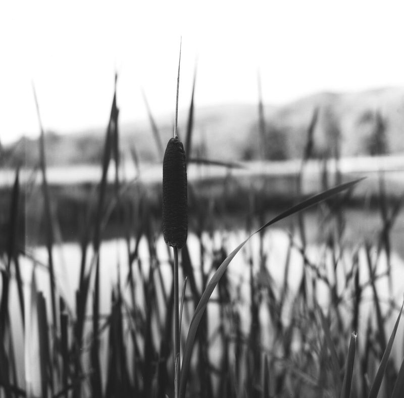 Fujifilm Neopan