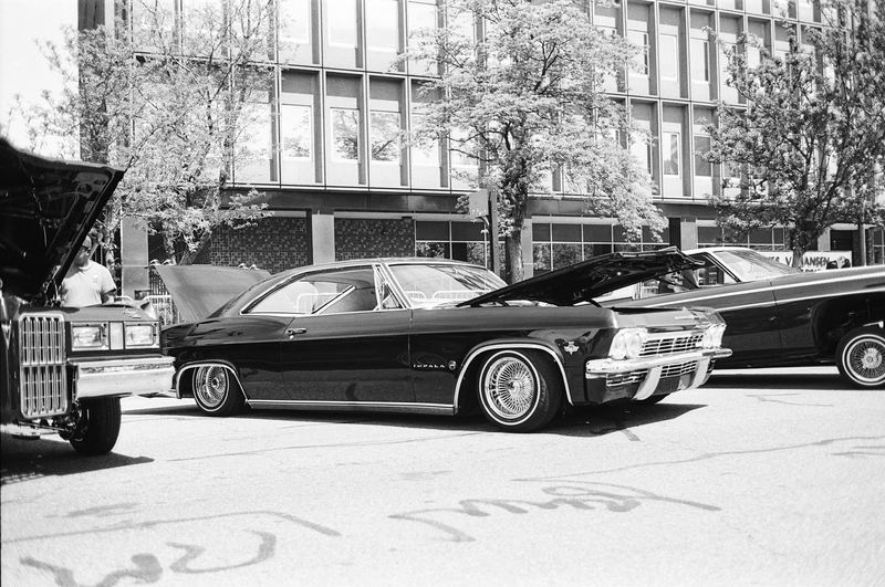 Ilford Ortho Plus 80