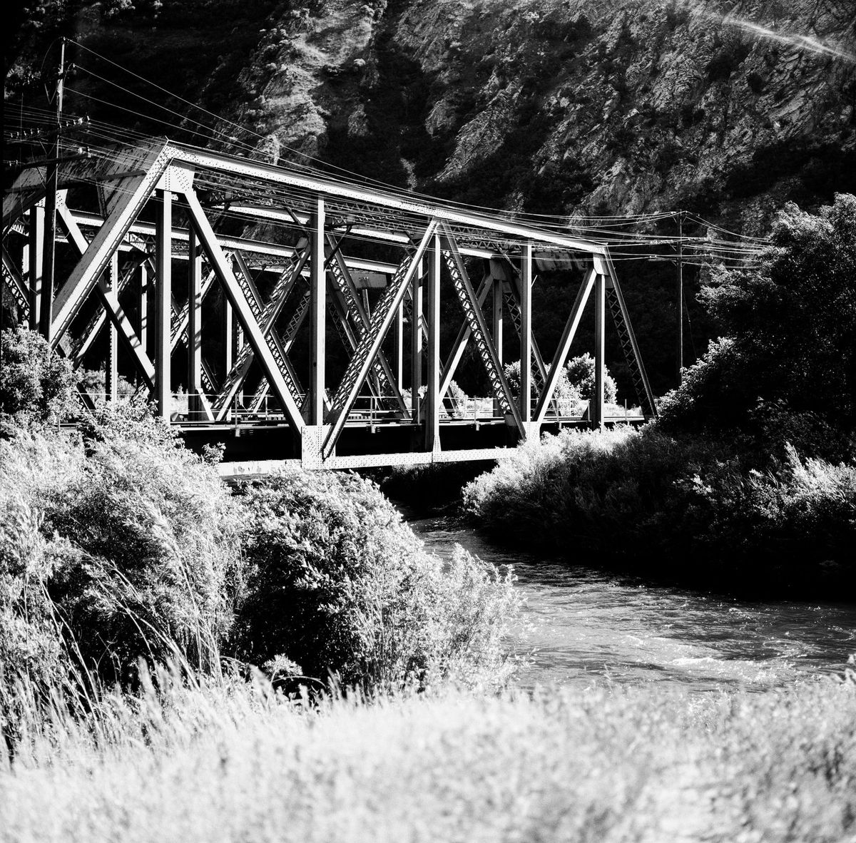 Ilford Ortho Plus 80