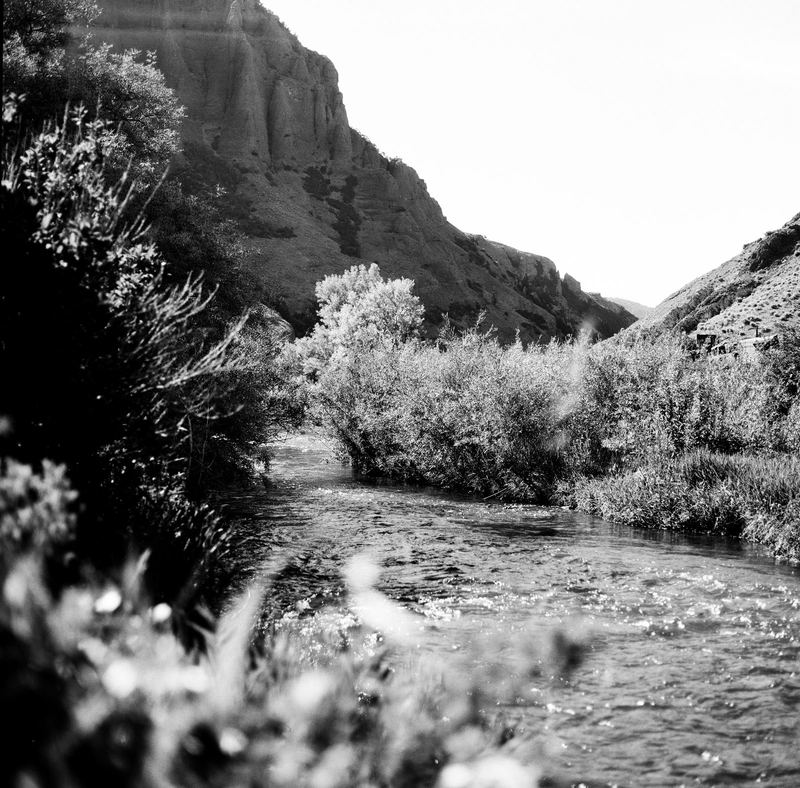 Ilford Ortho Plus 80
