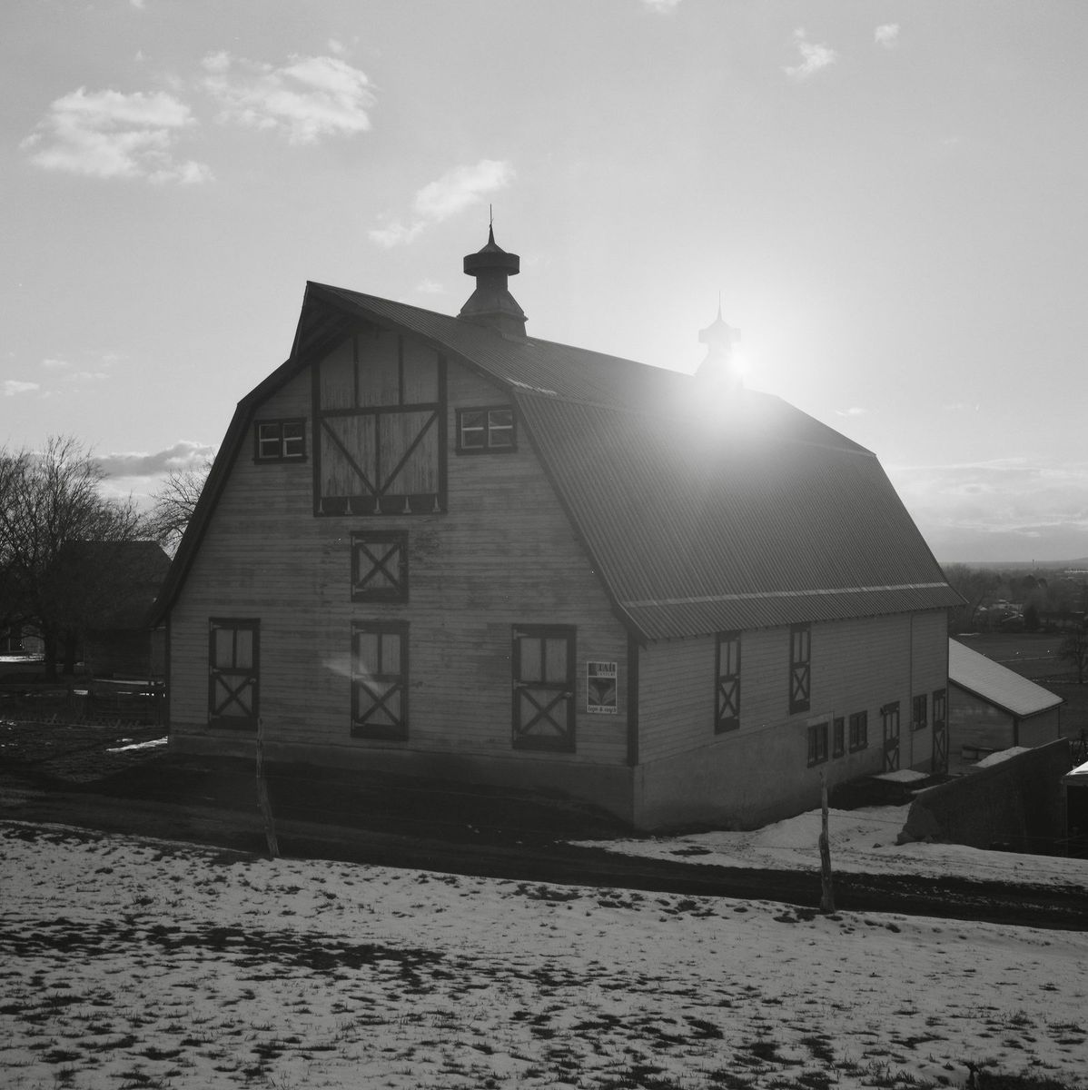 Ilford Pan F