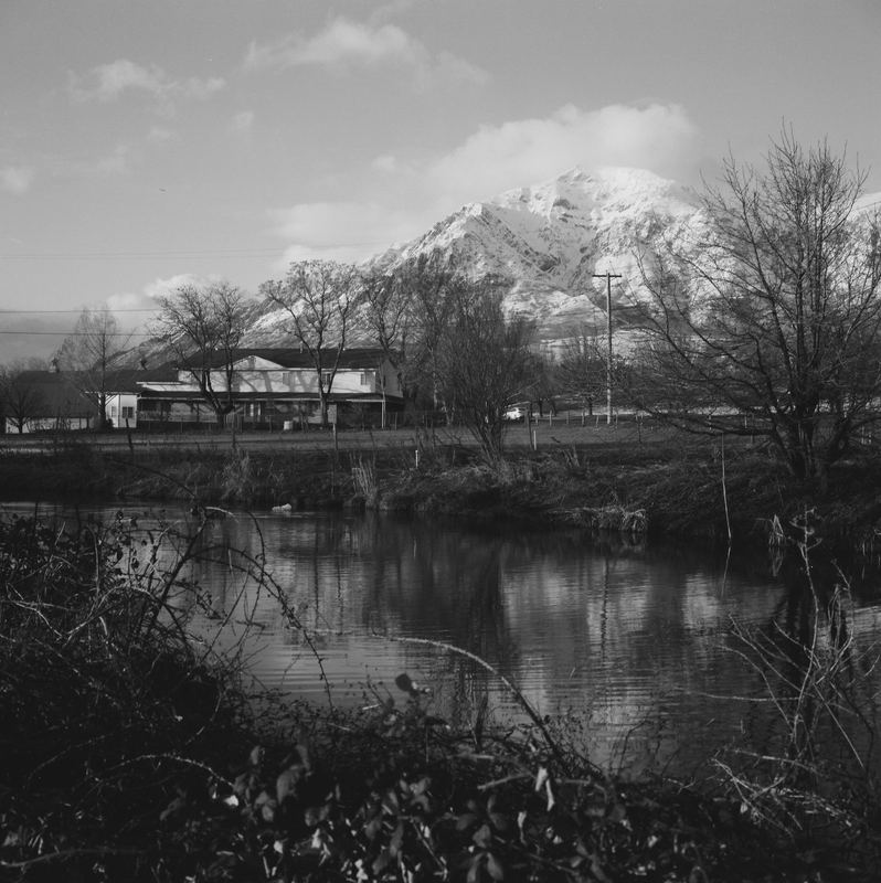 Ilford Pan F
