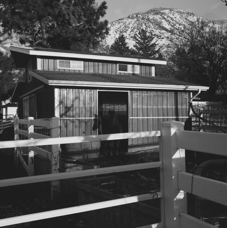Ilford Pan F