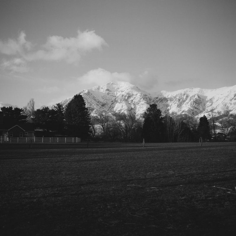 Ilford Pan F
