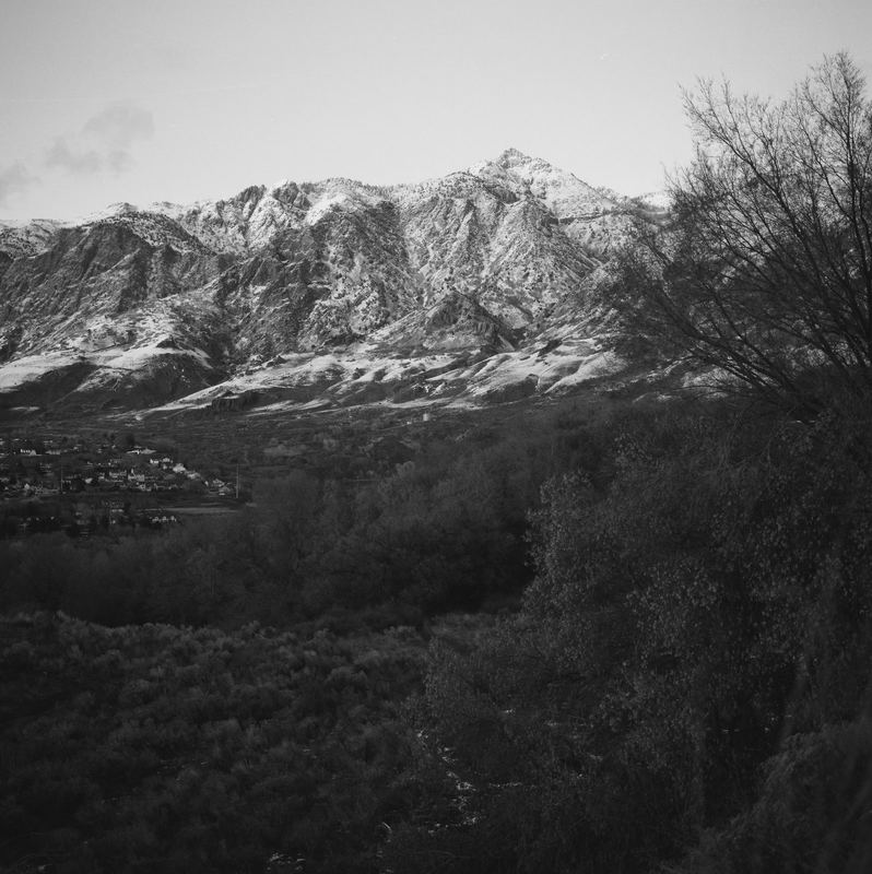Ilford Pan F