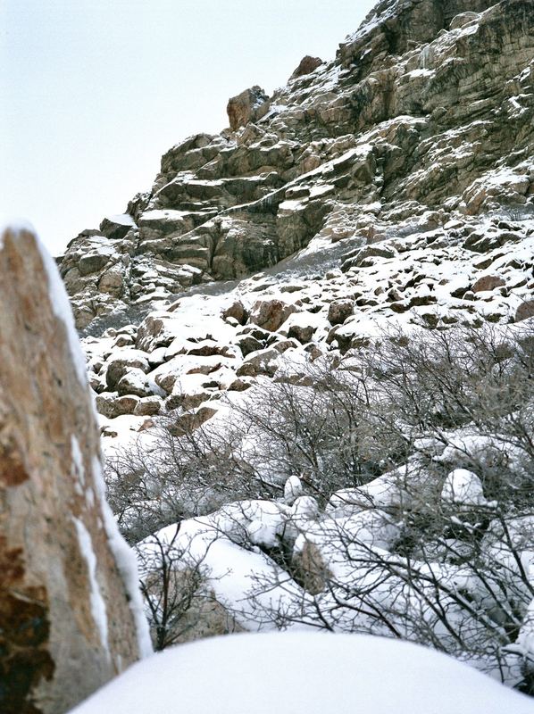 Fujicolor Pro 400H