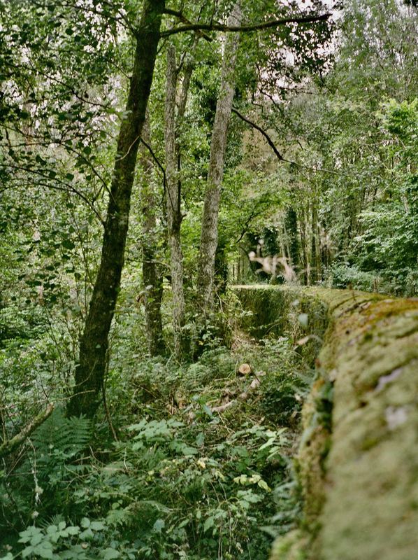 Fujicolor Pro 400H