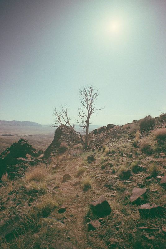 Fujifilm Reala Slide Expired