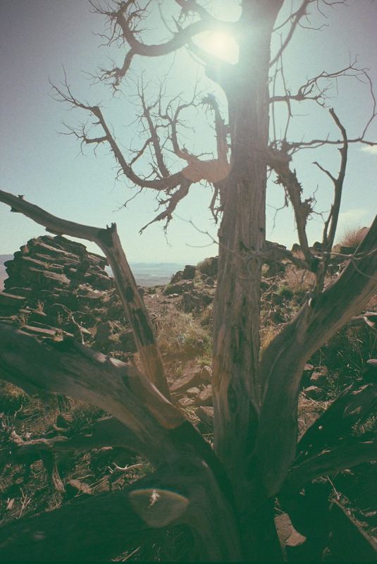 Fujifilm Reala Slide Expired