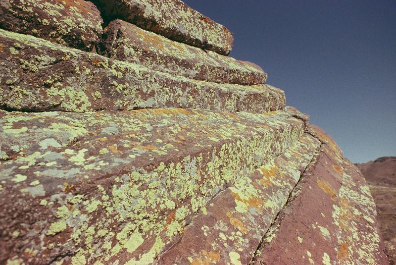 Fujifilm Reala Slide Expired