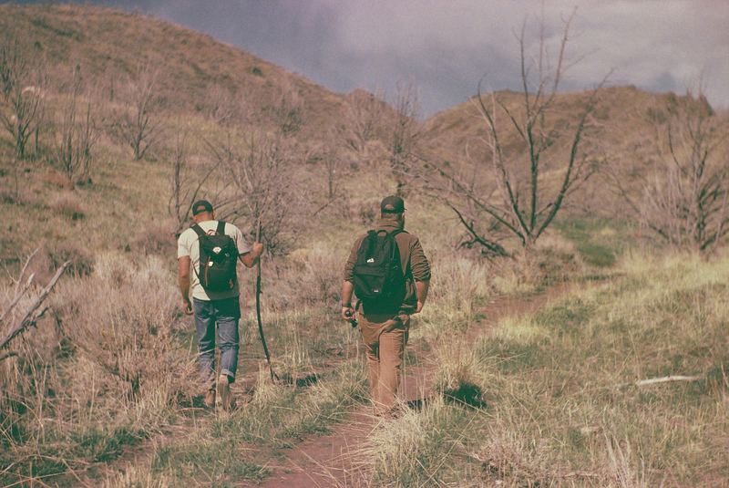 Fujifilm Reala Slide Expired