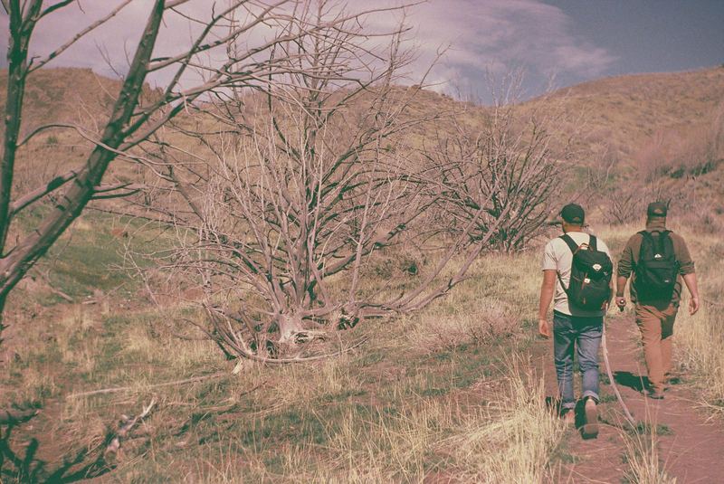 Fujifilm Reala Slide Expired
