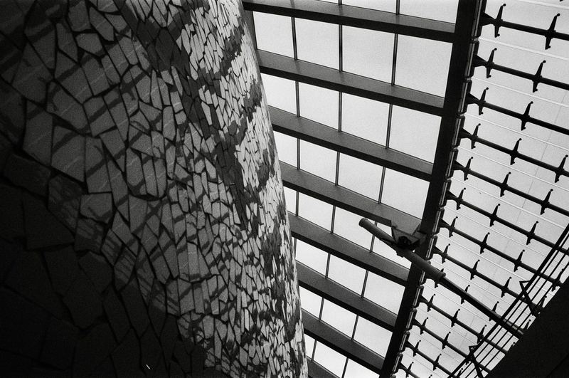 Ilford SFX 200