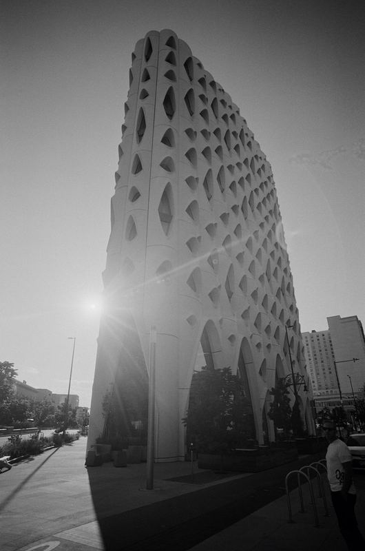 Ilford XP2