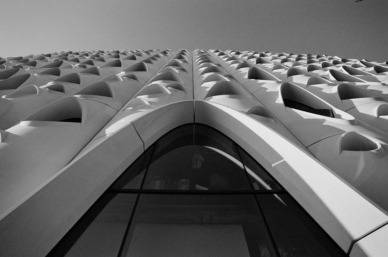 Ilford XP2
