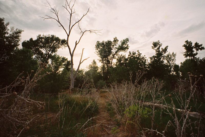 Fujifilm Xtra 800