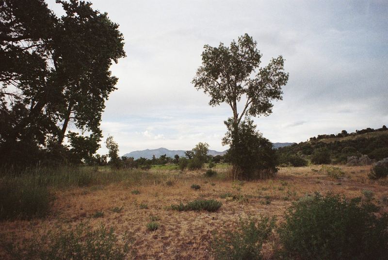 Fujifilm Xtra 800